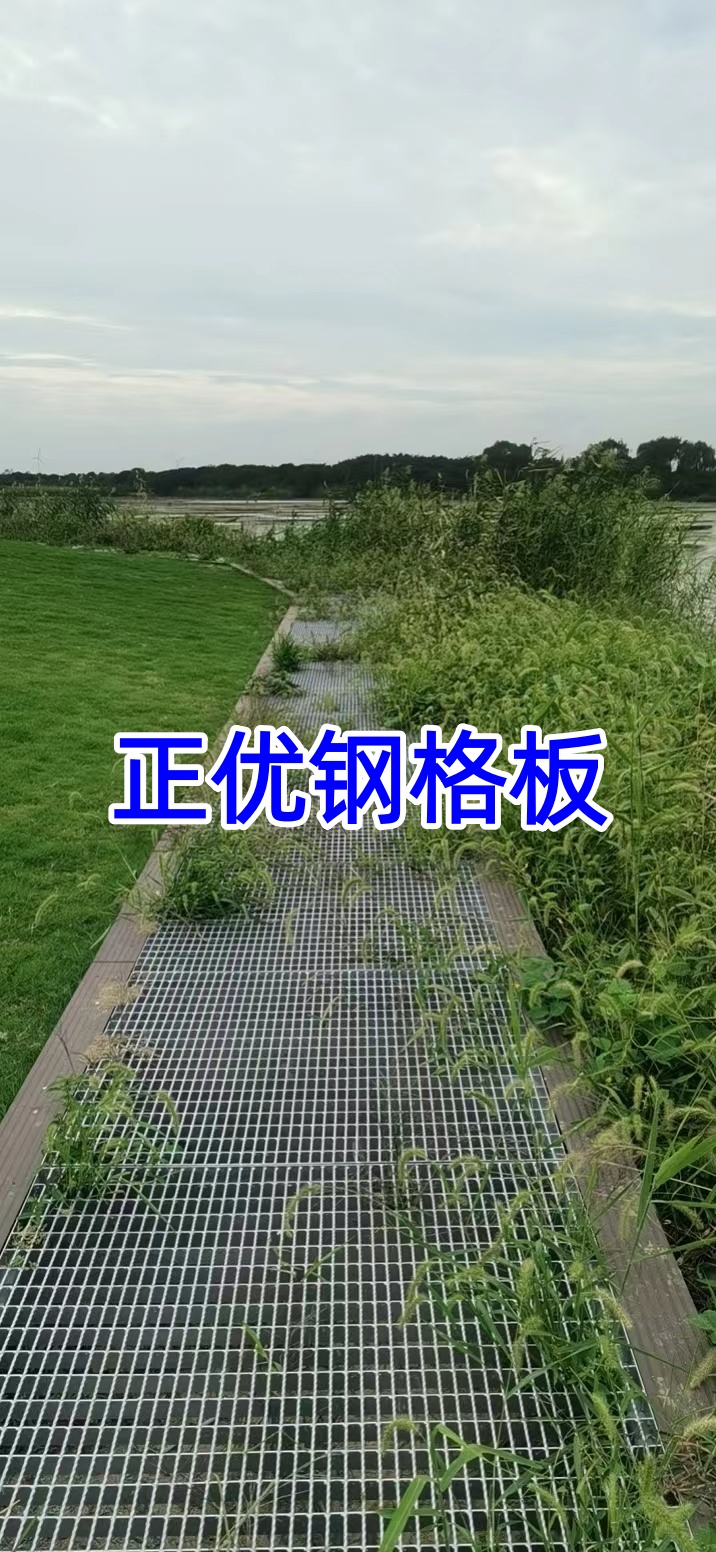 溧阳长荡湖湿地大草坪区生态修复工程